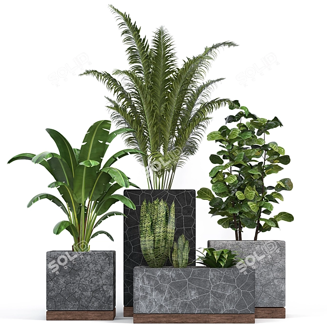 Modern Indoor Plants Collection 3D model image 1