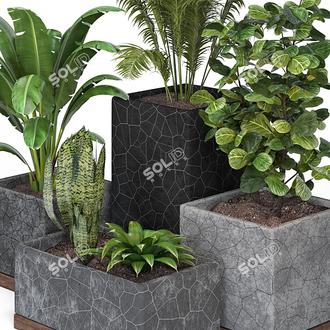 Modern Indoor Plants Collection 3D model image 3
