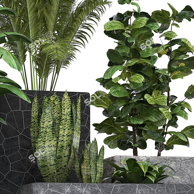 Modern Indoor Plants Collection 3D model image 4