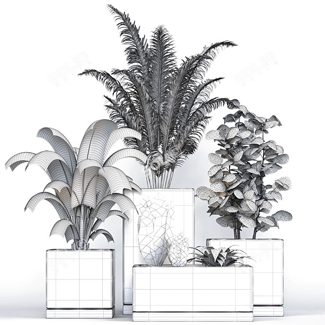 Modern Indoor Plants Collection 3D model image 6