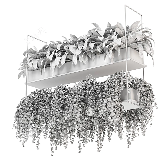 Metal Box Hanging Plants 3D model image 7