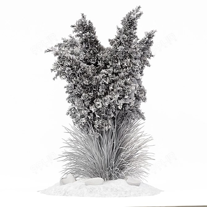 Pampas Grass: 3D Outdoor Beauty 3D model image 3