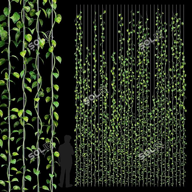 Lush Greenery Collection: 30 Exquisite 3D Plants 3D model image 1