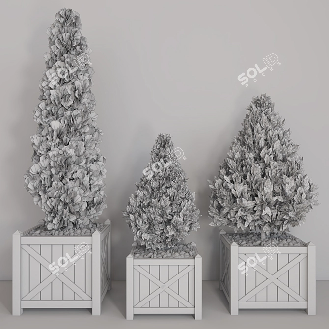 Versatile Indoor and Outdoor Plant 3D model image 3