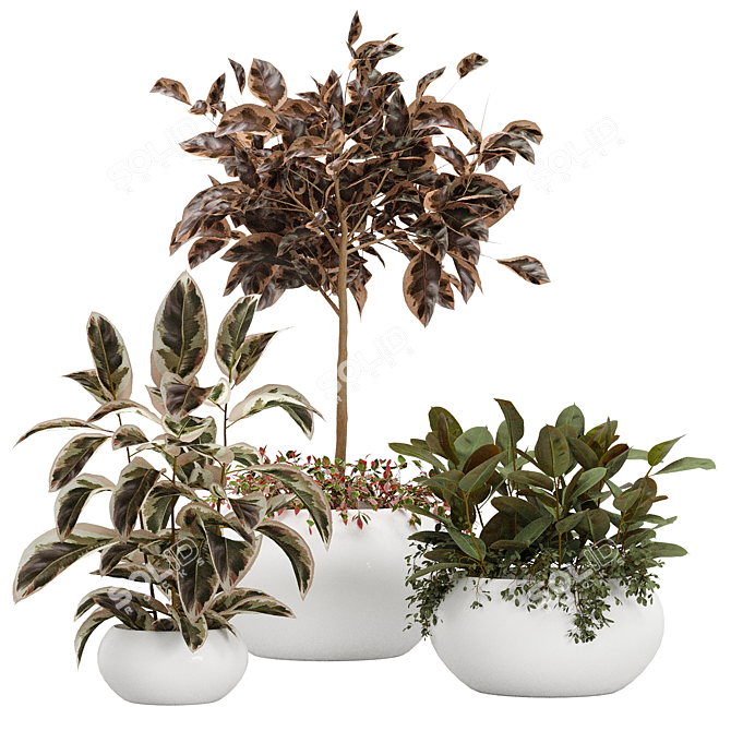 Botanical Bliss: Rubber Plant Vase Pack 3D model image 1