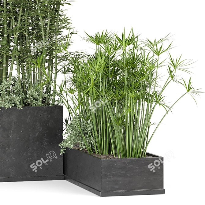 Rustic Concrete Pot with Outdoor Bamboo 3D model image 3