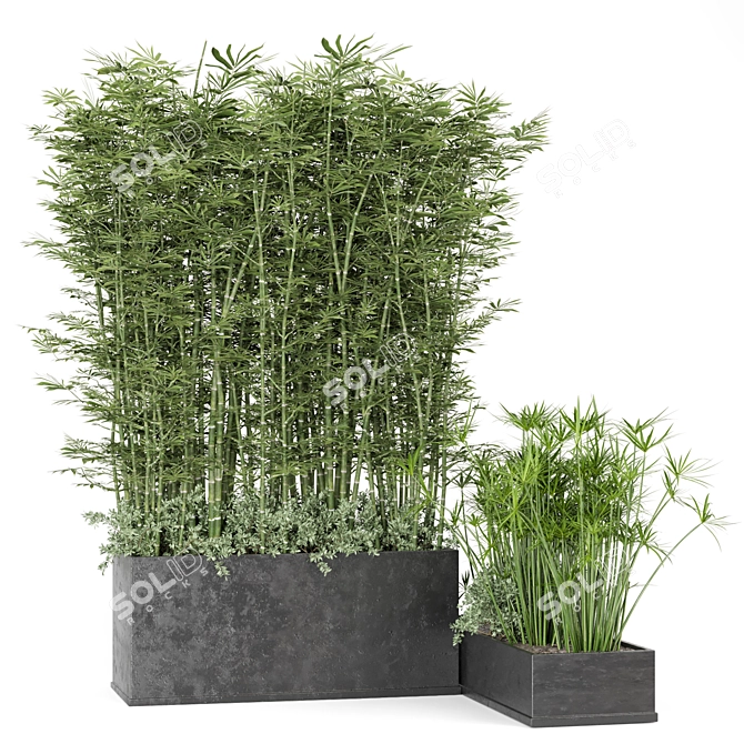 Rustic Concrete Pot with Outdoor Bamboo 3D model image 4