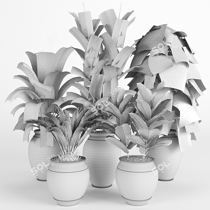 Tropical Plant Collection 3D model image 4