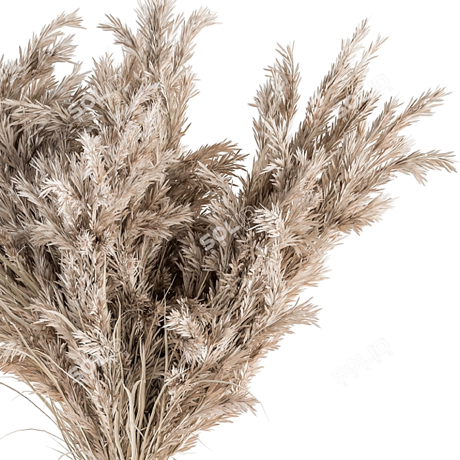 Elegant White Pampas Décor Set 3D model image 4