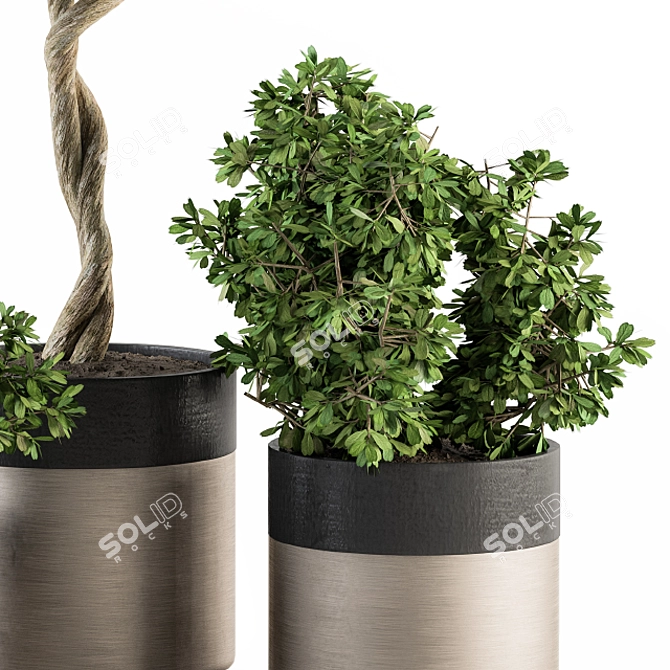  Modern Pot Plant Set - Outdoor 272 3D model image 2