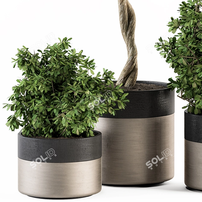  Modern Pot Plant Set - Outdoor 272 3D model image 4