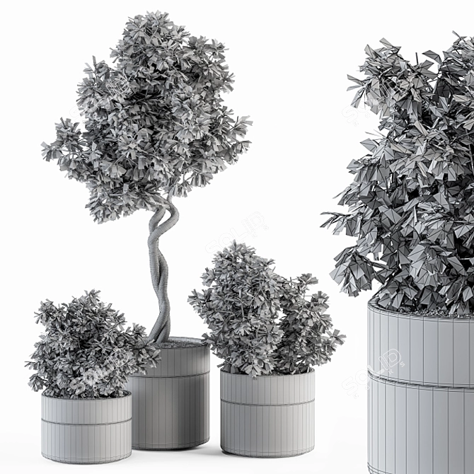  Modern Pot Plant Set - Outdoor 272 3D model image 5