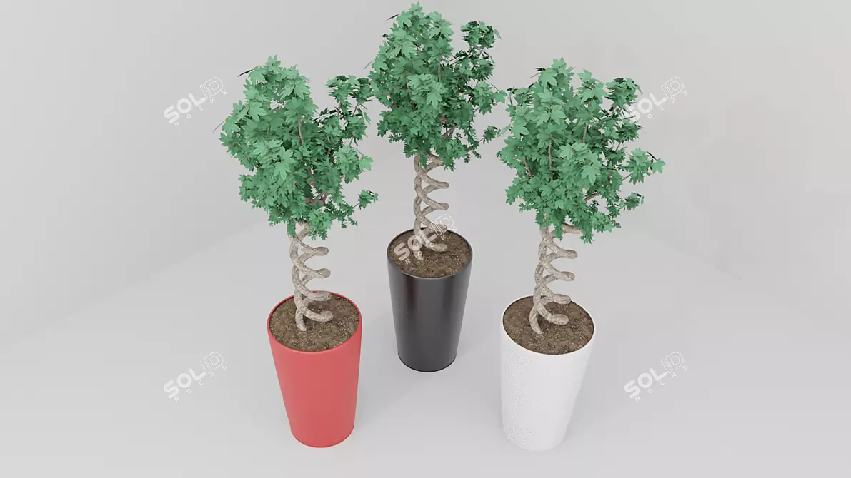 Exotic Pot Plant: Vibrant and Versatile 3D model image 1