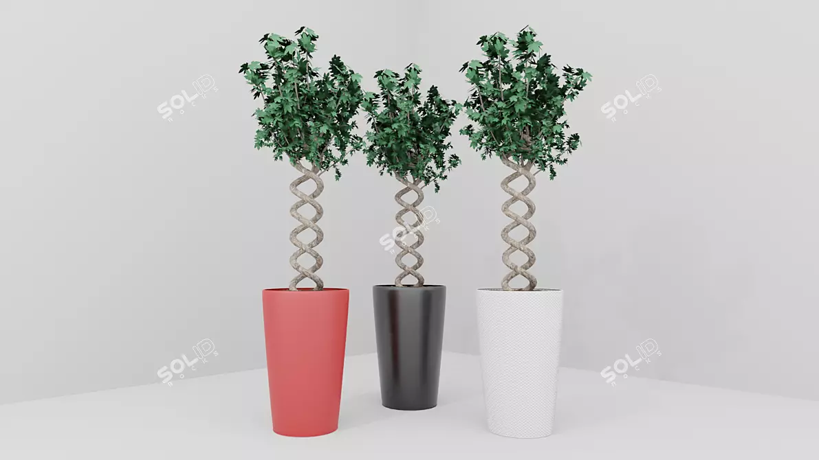 Exotic Pot Plant: Vibrant and Versatile 3D model image 2