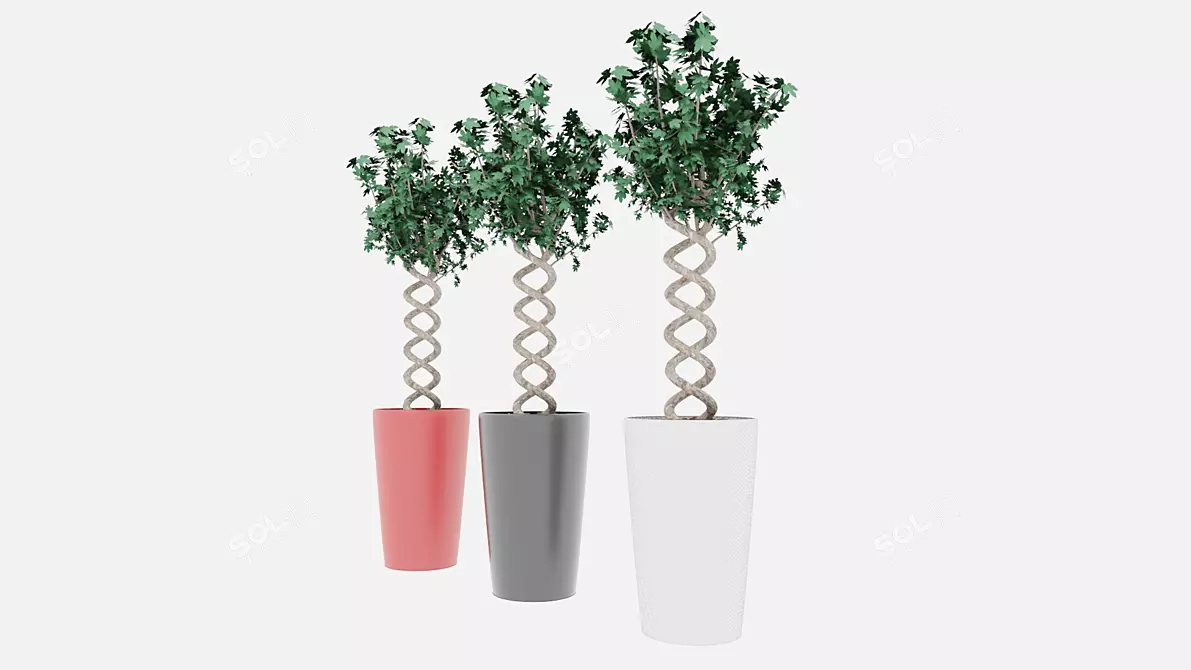 Exotic Pot Plant: Vibrant and Versatile 3D model image 3