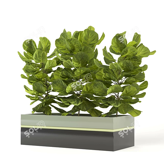 Green Oasis: Indoor Plants Collection 3D model image 2