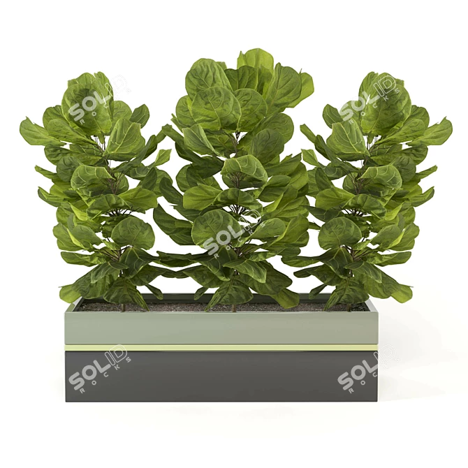 Green Oasis: Indoor Plants Collection 3D model image 5