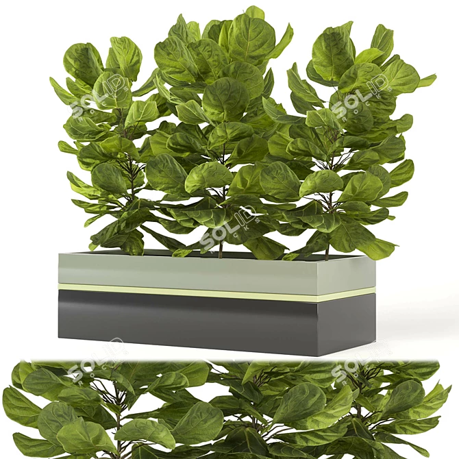 Green Oasis: Indoor Plants Collection 3D model image 6