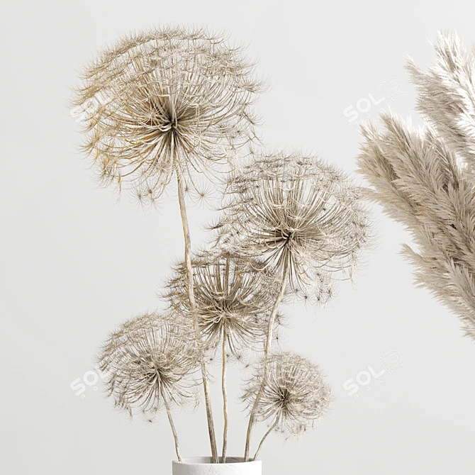 Concrete Vase Bouquet with Pampas and Dry Hogweed 3D model image 4