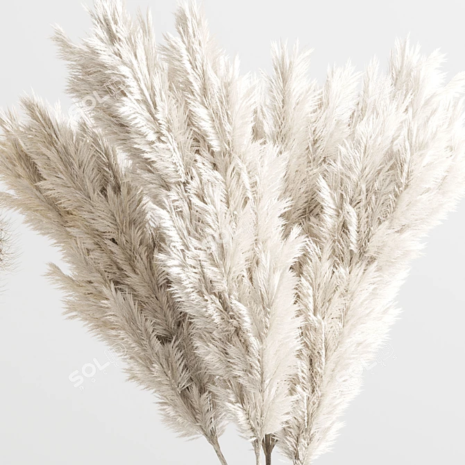 Concrete Vase Bouquet with Pampas and Dry Hogweed 3D model image 6