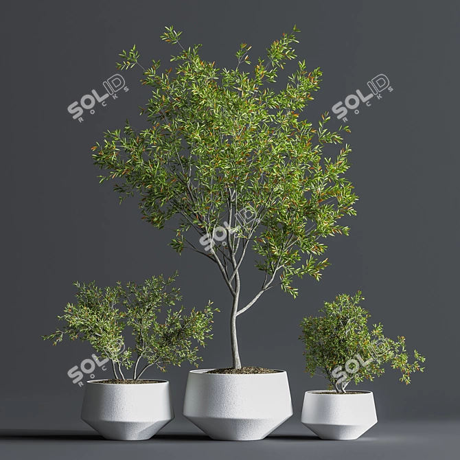 Indoor Oasis Plant Set 3D model image 1