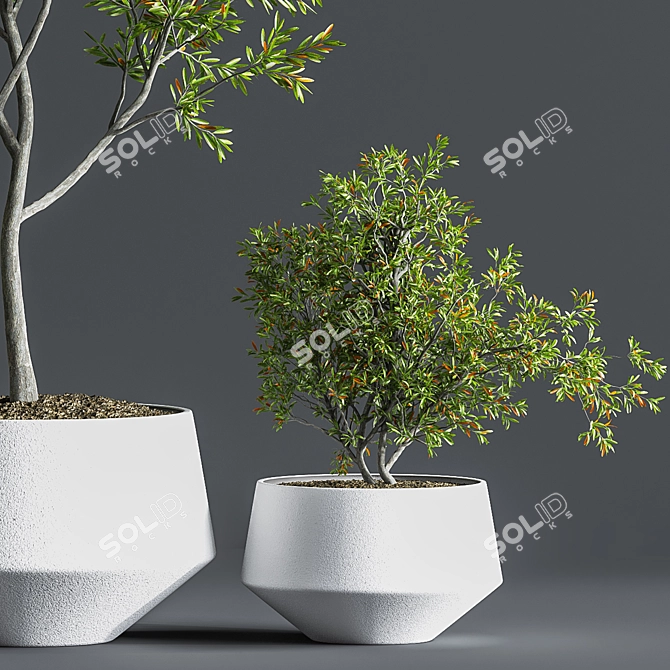 Indoor Oasis Plant Set 3D model image 6