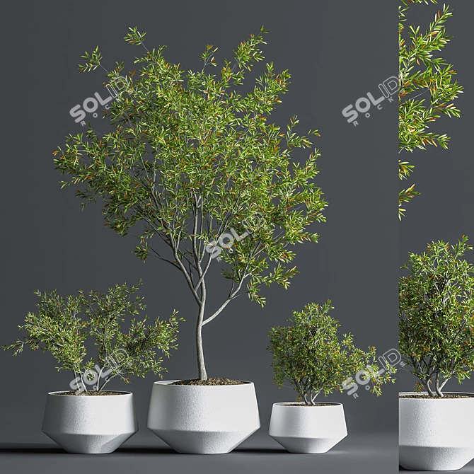 Indoor Oasis Plant Set 3D model image 8