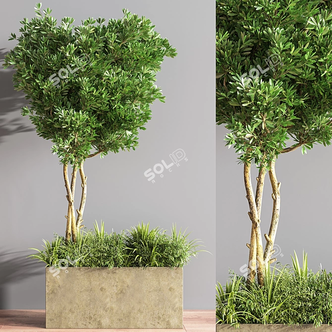 Outdoor Beauty: 20 Trees for Stunning Landscapes 3D model image 2