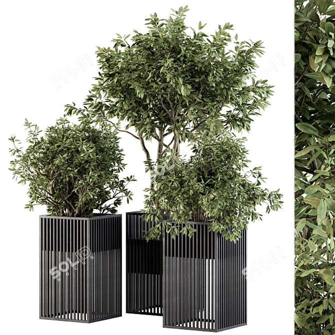 Metal Pot Plant Set: Outdoor Beauty 3D model image 1