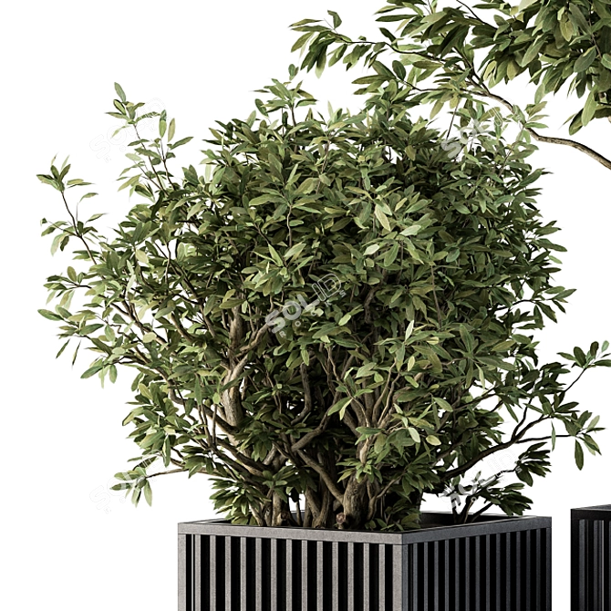 Metal Pot Plant Set: Outdoor Beauty 3D model image 3