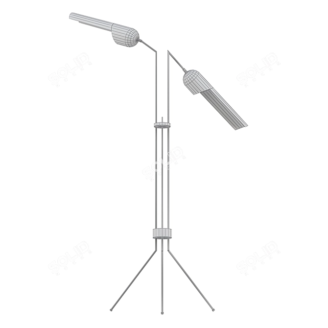Elegant Parisian Floor Lamp 3D model image 2
