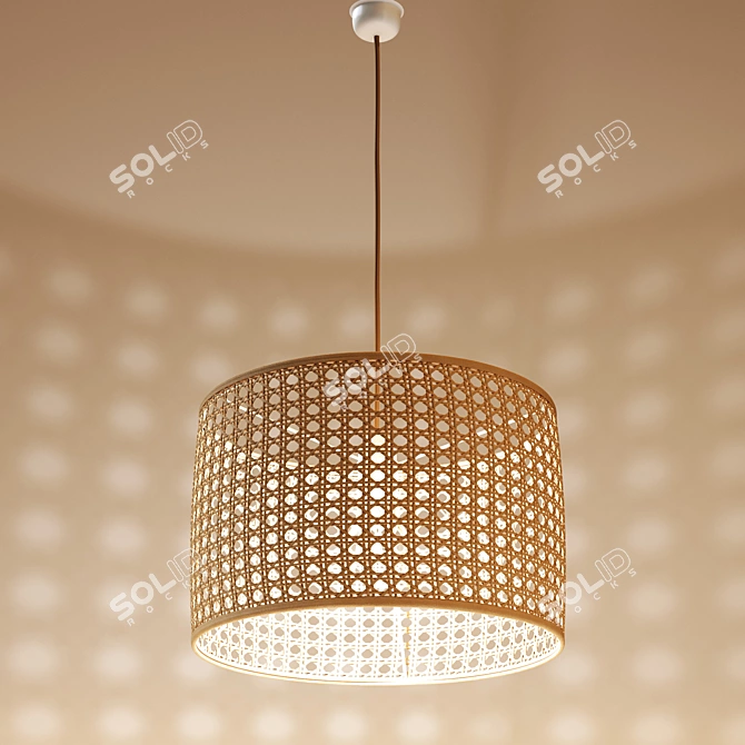 Natural Rattan Chandelier DOLKIE 3D model image 4