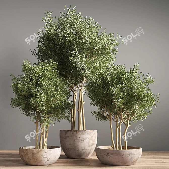 Stylish Indoor Plant Stand 19 3D model image 2