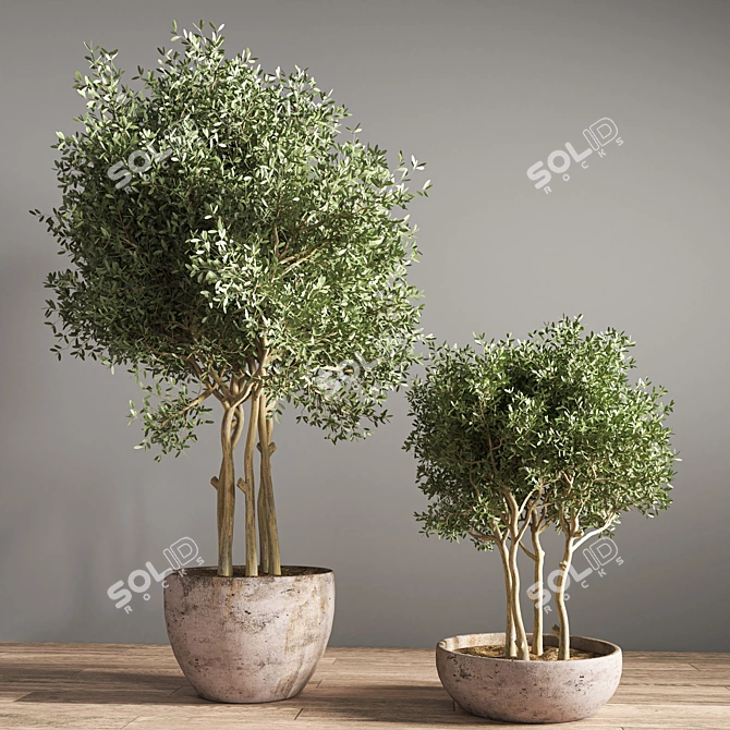 Stylish Indoor Plant Stand 19 3D model image 3