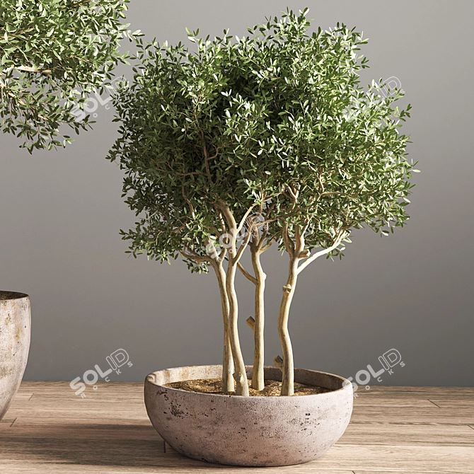 Stylish Indoor Plant Stand 19 3D model image 4