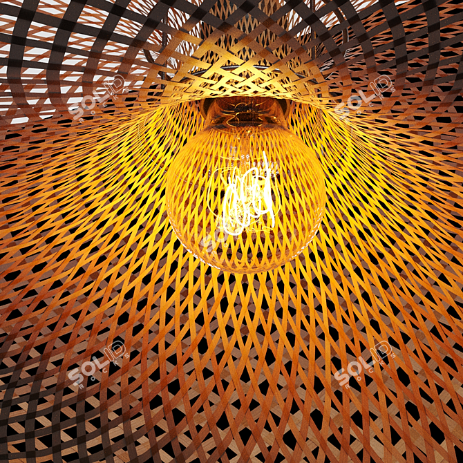 Translucent Rattan Pendant Lights 3D model image 5