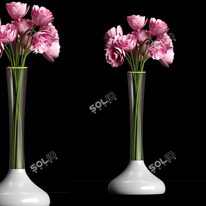 Variety of PBR Indoor Plants! 3D model image 4