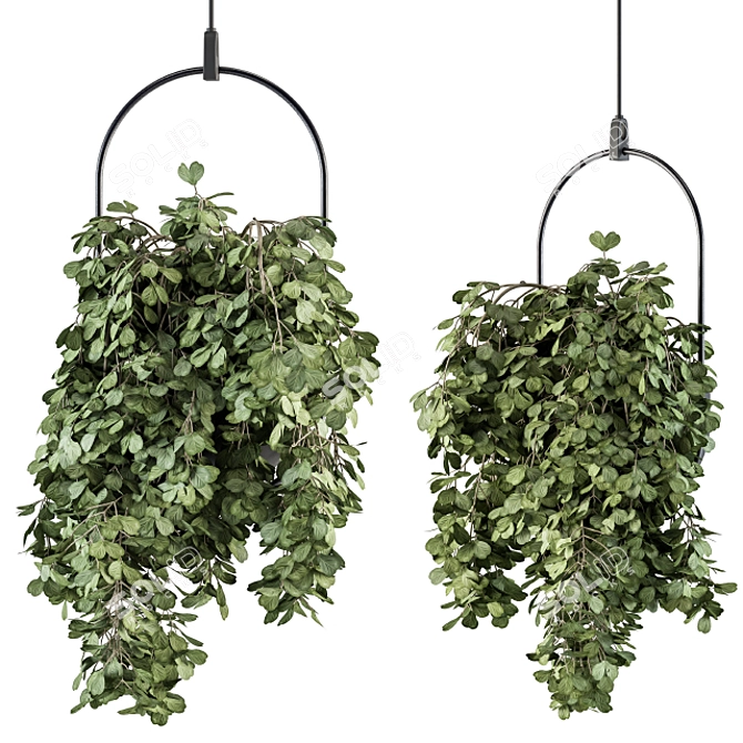 Blossom Oasis: Indoor Hanging Plant Set 3D model image 1