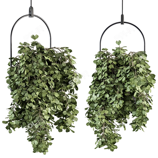 Blossom Oasis: Indoor Hanging Plant Set 3D model image 2