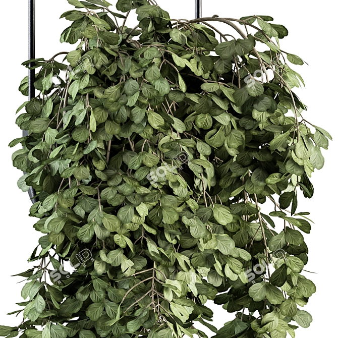 Blossom Oasis: Indoor Hanging Plant Set 3D model image 3