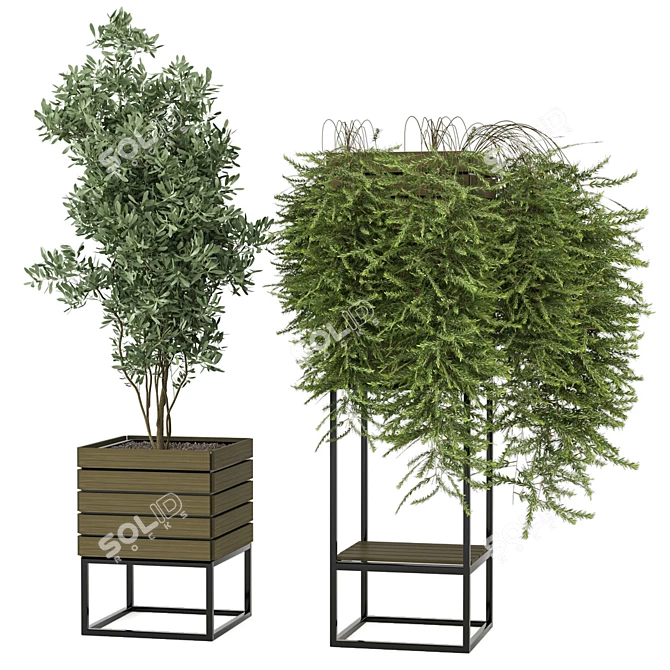 Rustic Indoor Plants Set 3D model image 2