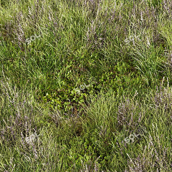 Meadow Lawn Grassland Set 3D model image 1