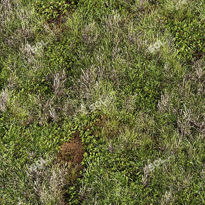 Meadow Lawn Grassland Set 3D model image 2