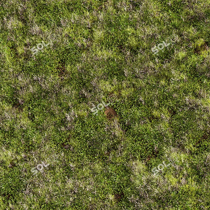 Meadow Lawn Grassland Set 3D model image 3