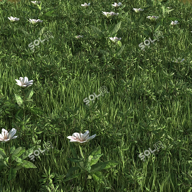 Versatile Grass Collection: 4 Types 3D model image 2