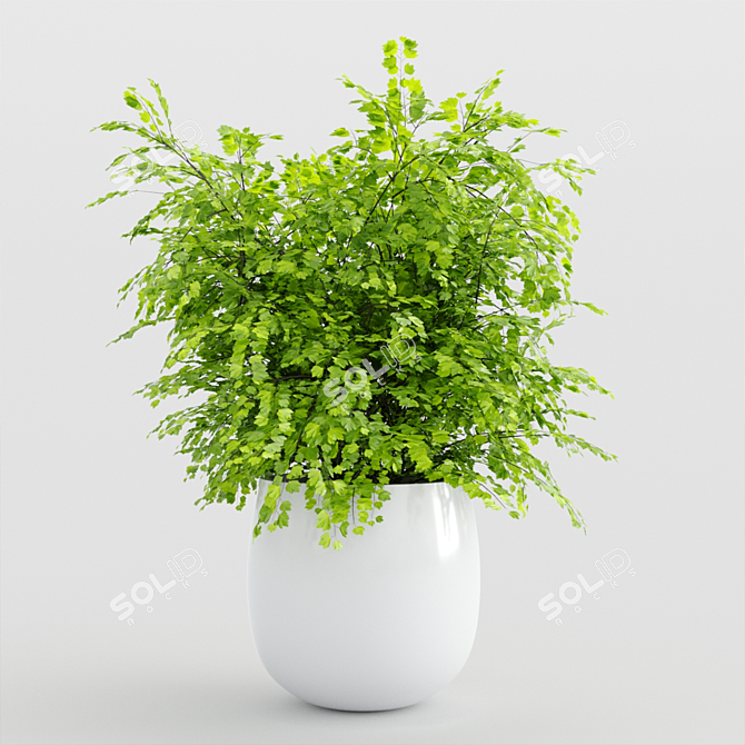 Modern Indoor Plants Set 3D model image 4
