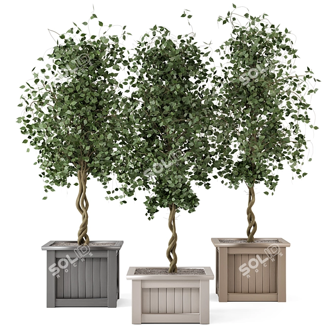 Outdoor Plants Tree in Wooden Box 3D model image 1