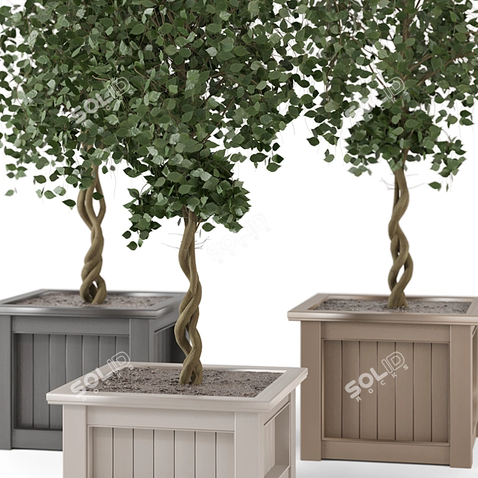 Outdoor Plants Tree in Wooden Box 3D model image 2