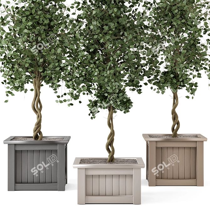 Outdoor Plants Tree in Wooden Box 3D model image 3