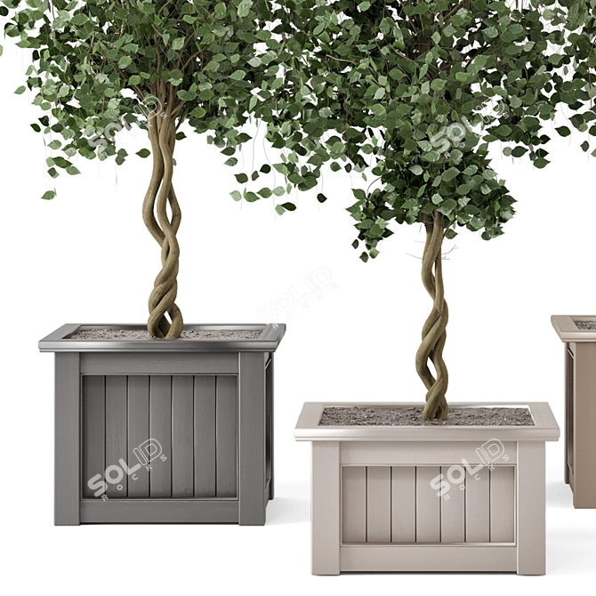 Outdoor Plants Tree in Wooden Box 3D model image 4